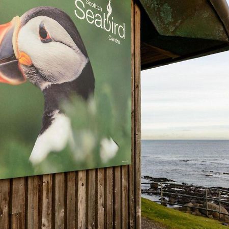 Benholm Leilighet North Berwick Eksteriør bilde