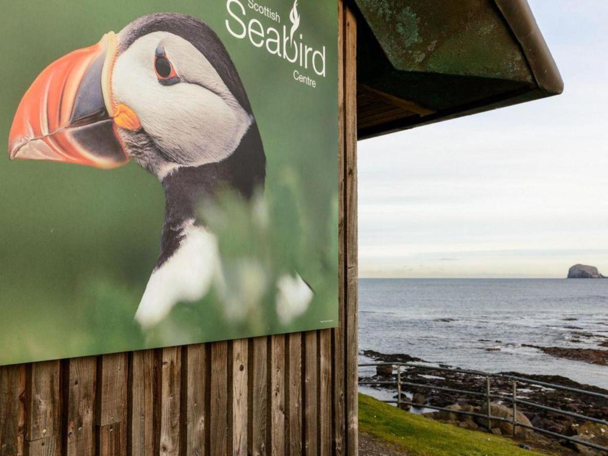 Benholm Leilighet North Berwick Eksteriør bilde